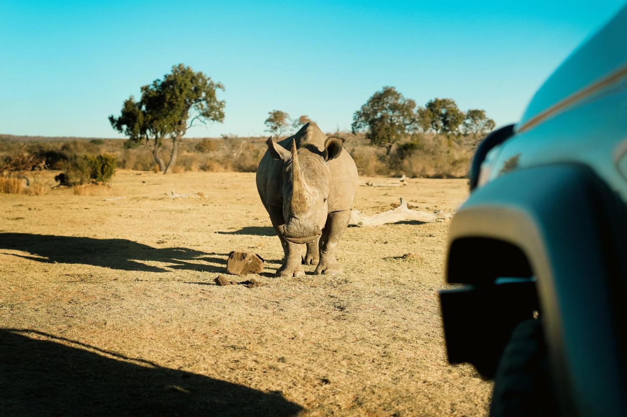 Shibula Safari Lodge ヴェルハヴォンデン・ゲーム・リザーブ エクステリア 写真