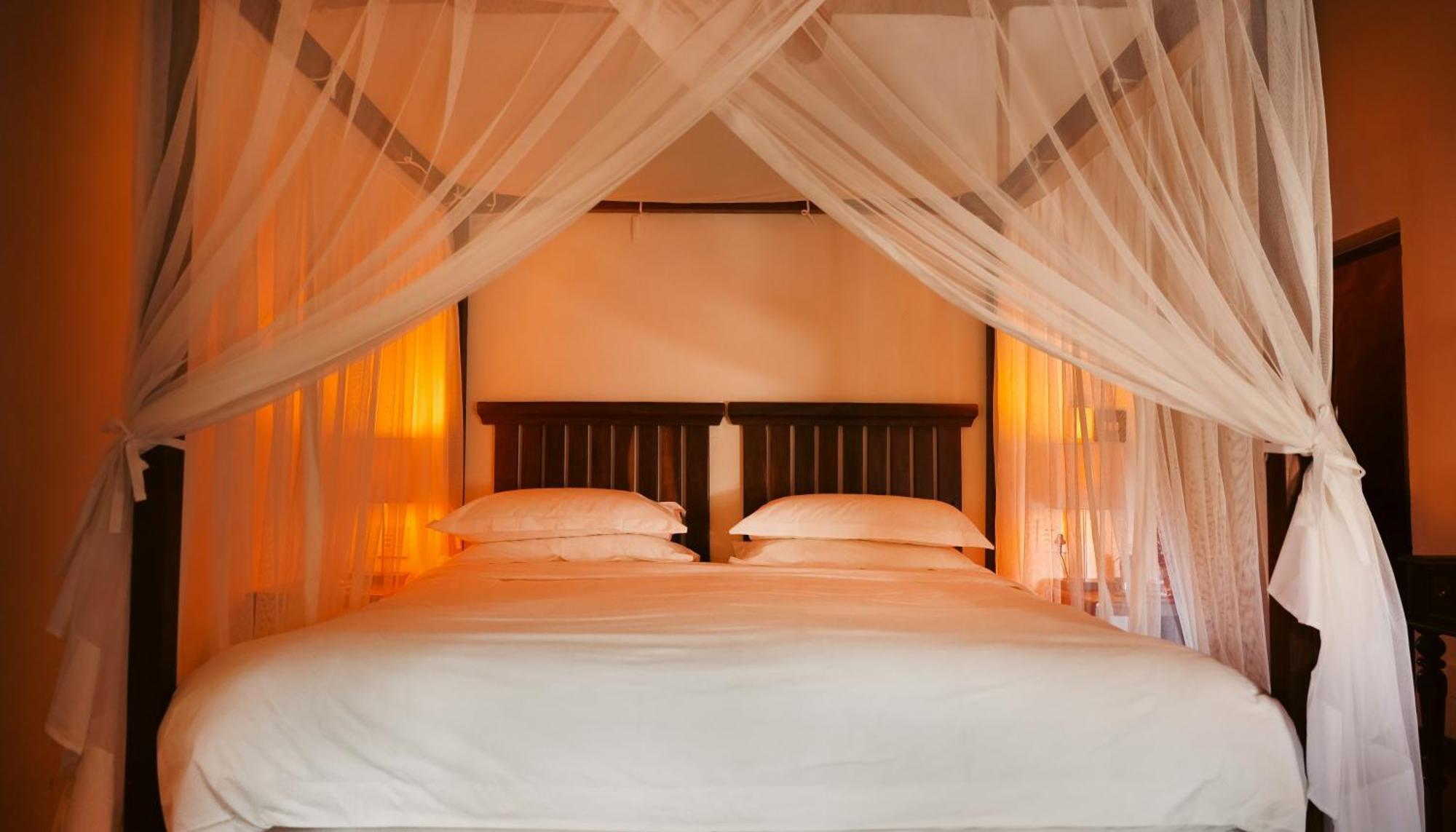 Shibula Safari Lodge ヴェルハヴォンデン・ゲーム・リザーブ エクステリア 写真
